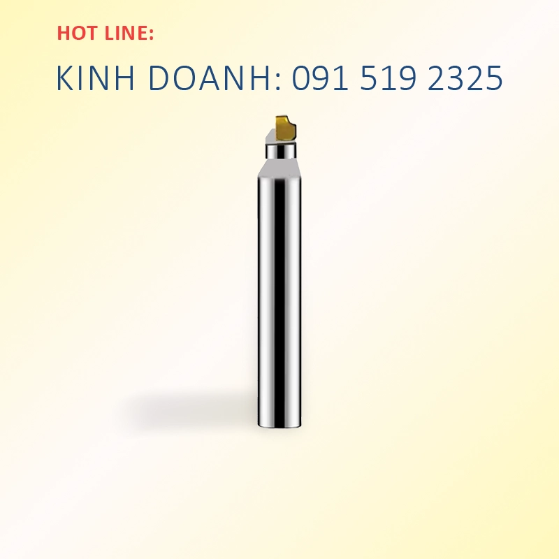 091 519 2325 (Chuyên gia Micro Machining)