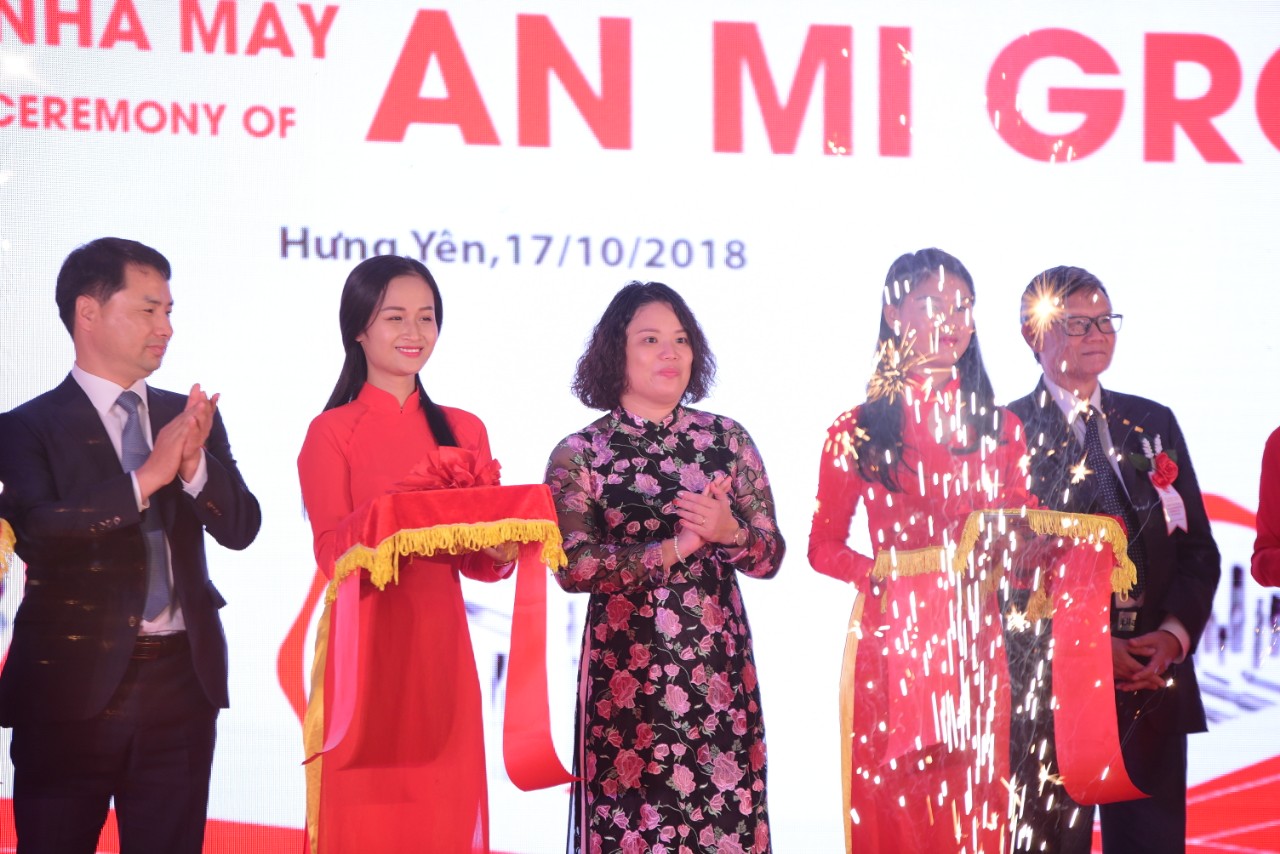 Đại diện hãng Dormer